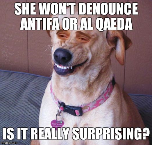 Dog smile | SHE WON'T DENOUNCE ANTIFA OR AL QAEDA IS IT REALLY SURPRISING? | image tagged in dog smile | made w/ Imgflip meme maker