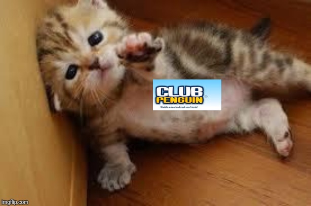 Sad Kitten Goodbye | image tagged in sad kitten goodbye | made w/ Imgflip meme maker