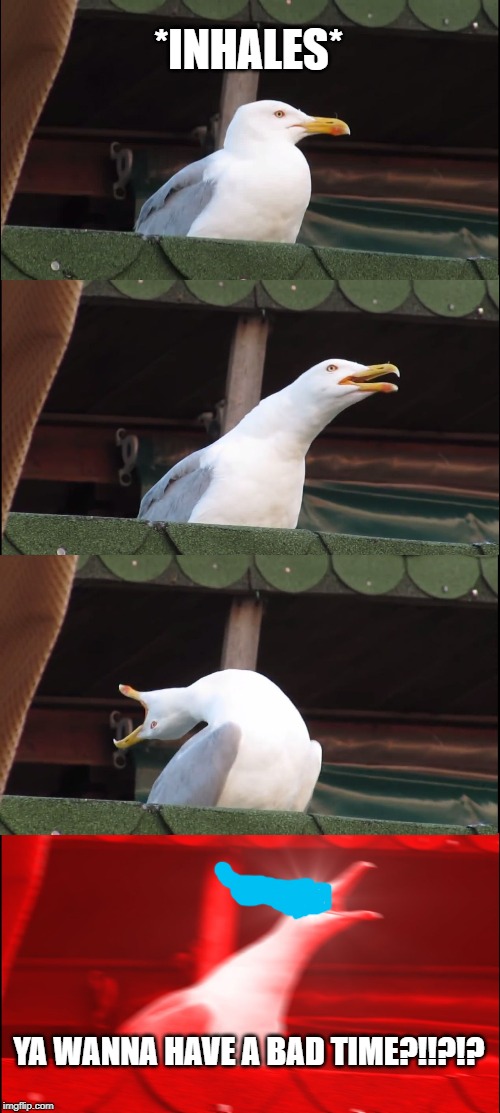 Inhaling Seagull Meme | *INHALES* YA WANNA HAVE A BAD TIME?!!?!? | image tagged in memes,inhaling seagull | made w/ Imgflip meme maker