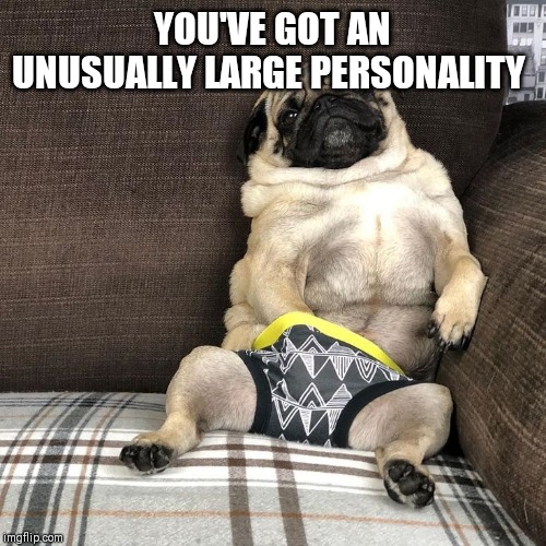 YOU'VE GOT AN UNUSUALLY LARGE PERSONALITY | made w/ Imgflip meme maker