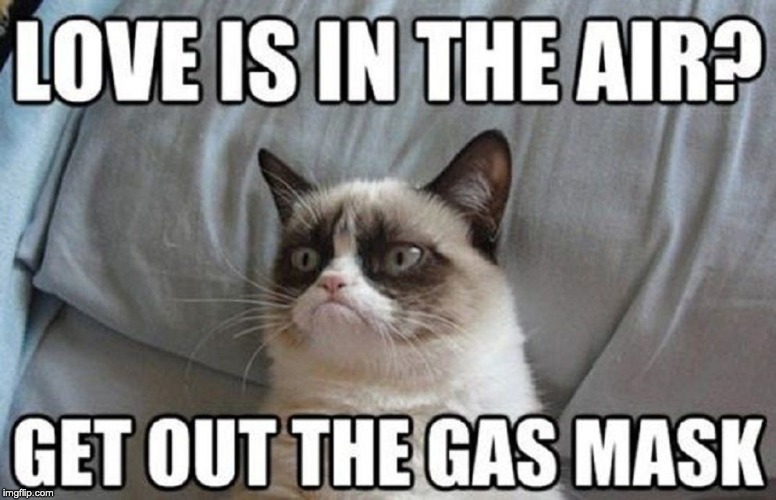 image tagged in grumpy cat | made w/ Imgflip meme maker