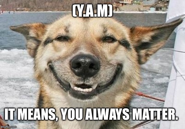happy face | (Y.A.M); IT MEANS, YOU ALWAYS MATTER. | image tagged in happy face | made w/ Imgflip meme maker