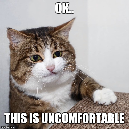 SQUISH | OK.. THIS IS UNCOMFORTABLE | image tagged in cats,cat,funny cat | made w/ Imgflip meme maker