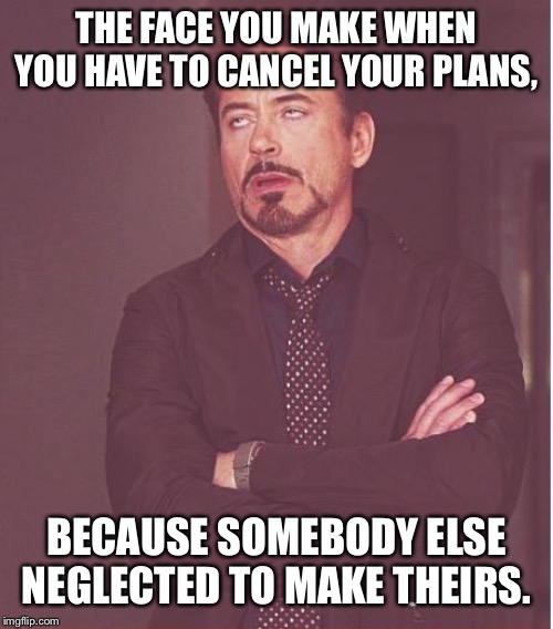 Face You Make Robert Downey Jr | THE FACE YOU MAKE WHEN YOU HAVE TO CANCEL YOUR PLANS, BECAUSE SOMEBODY ELSE NEGLECTED TO MAKE THEIRS. | image tagged in memes,face you make robert downey jr | made w/ Imgflip meme maker