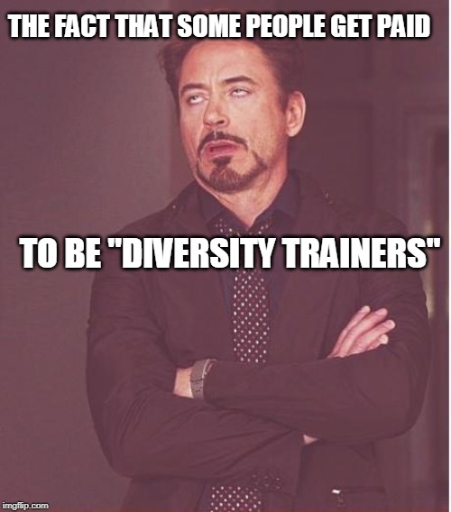 Face You Make Robert Downey Jr | THE FACT THAT SOME PEOPLE GET PAID; TO BE "DIVERSITY TRAINERS" | image tagged in memes,face you make robert downey jr | made w/ Imgflip meme maker