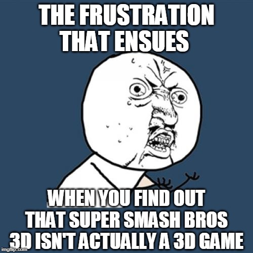 Y U No | THE FRUSTRATION THAT ENSUES; WHEN YOU FIND OUT THAT SUPER SMASH BROS 3D ISN'T ACTUALLY A 3D GAME | image tagged in memes,y u no | made w/ Imgflip meme maker