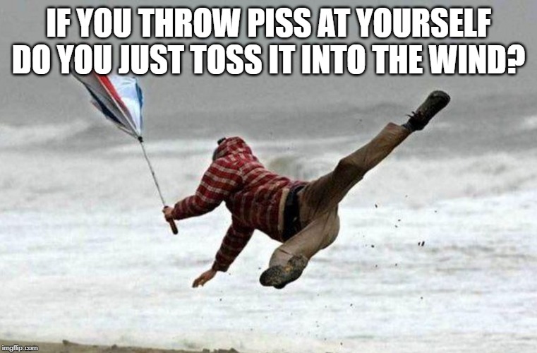 windy  | IF YOU THROW PISS AT YOURSELF DO YOU JUST TOSS IT INTO THE WIND? | image tagged in windy | made w/ Imgflip meme maker