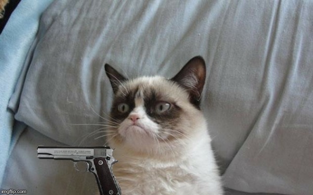 Grumpy cat gun | image tagged in grumpy cat gun | made w/ Imgflip meme maker
