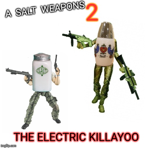 They're back, and this time they are 10x A Saltier | 2; A  SALT  WEAPONS; THE ELECTRIC KILLAYOO | image tagged in ar15,assault weapons,toys,liberal logic,gun control,2nd amendment | made w/ Imgflip meme maker