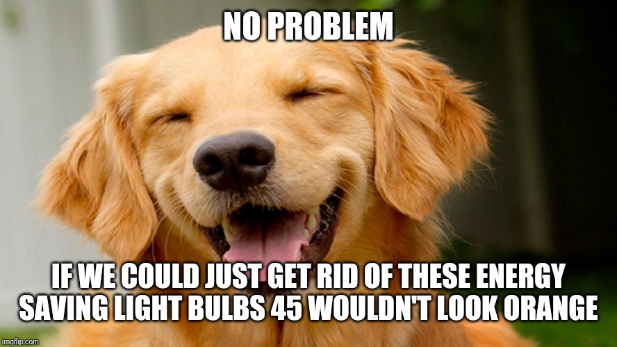 smiling dog | NO PROBLEM IF WE COULD JUST GET RID OF THESE ENERGY SAVING LIGHT BULBS 45 WOULDN'T LOOK ORANGE | image tagged in smiling dog | made w/ Imgflip meme maker
