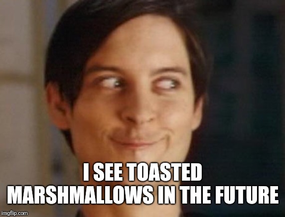 Spiderman Peter Parker Meme | I SEE TOASTED MARSHMALLOWS IN THE FUTURE | image tagged in memes,spiderman peter parker | made w/ Imgflip meme maker