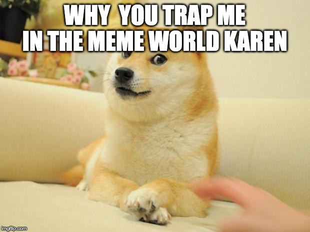 Doge 2 | WHY  YOU TRAP ME IN THE MEME WORLD KAREN | image tagged in memes,doge 2 | made w/ Imgflip meme maker