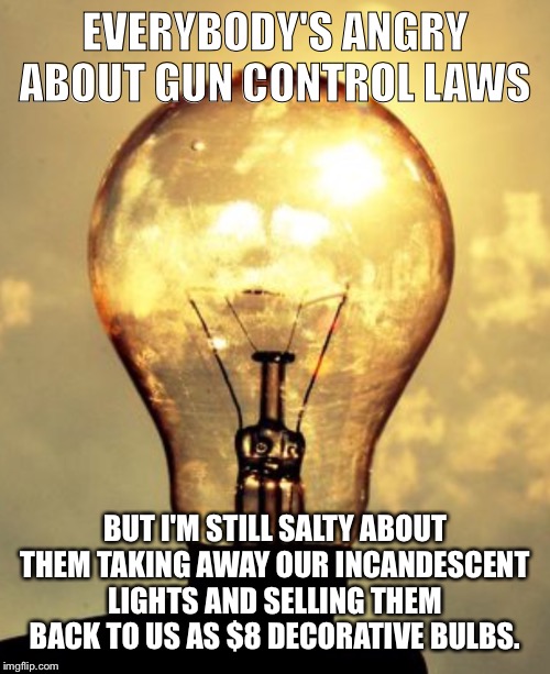 Light bulb | EVERYBODY'S ANGRY ABOUT GUN CONTROL LAWS; BUT I'M STILL SALTY ABOUT THEM TAKING AWAY OUR INCANDESCENT LIGHTS AND SELLING THEM BACK TO US AS $8 DECORATIVE BULBS. | image tagged in light bulb | made w/ Imgflip meme maker