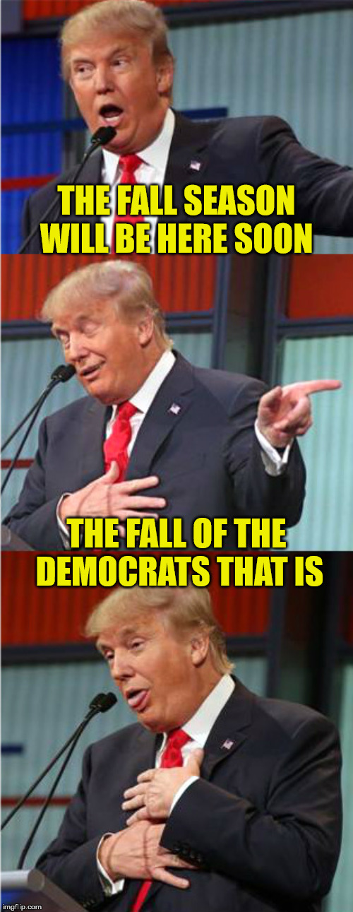 Bad Pun Trump | THE FALL SEASON WILL BE HERE SOON; THE FALL OF THE  DEMOCRATS THAT IS | image tagged in bad pun trump,memes,2020 elections,donald trump | made w/ Imgflip meme maker