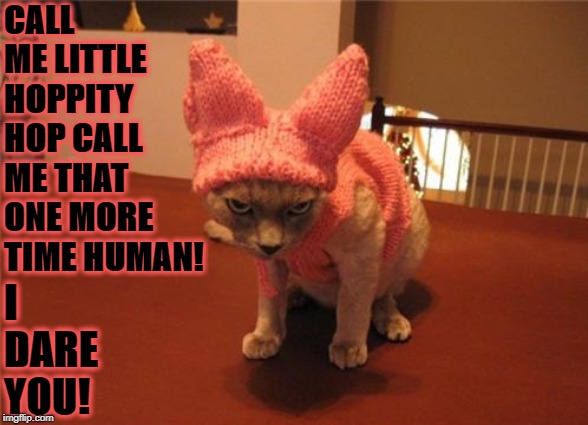 ONE MORE TIME | CALL ME LITTLE HOPPITY HOP CALL ME THAT ONE MORE TIME HUMAN! I DARE YOU! | image tagged in one more time | made w/ Imgflip meme maker