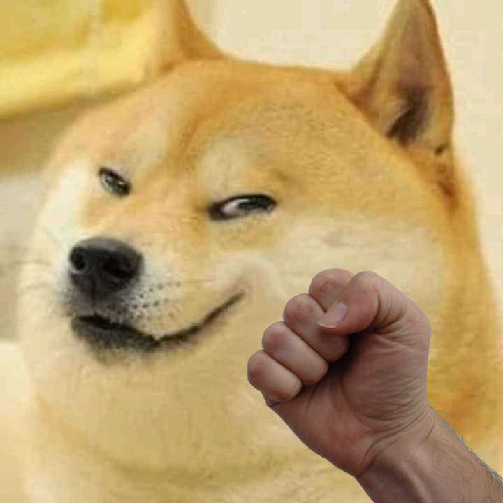 High Quality Doge punch Blank Meme Template