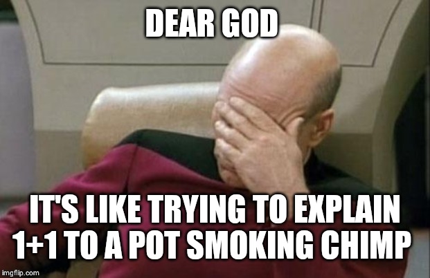 Captain Picard Facepalm Meme | DEAR GOD IT'S LIKE TRYING TO EXPLAIN 1+1 TO A POT SMOKING CHIMP | image tagged in memes,captain picard facepalm | made w/ Imgflip meme maker