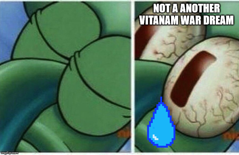 Squidward | NOT A ANOTHER VITANAM WAR DREAM | image tagged in squidward | made w/ Imgflip meme maker