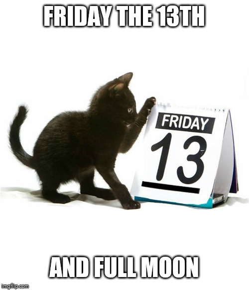 Marked safe | FRIDAY THE 13TH; AND FULL MOON | image tagged in friday 13th kitten | made w/ Imgflip meme maker