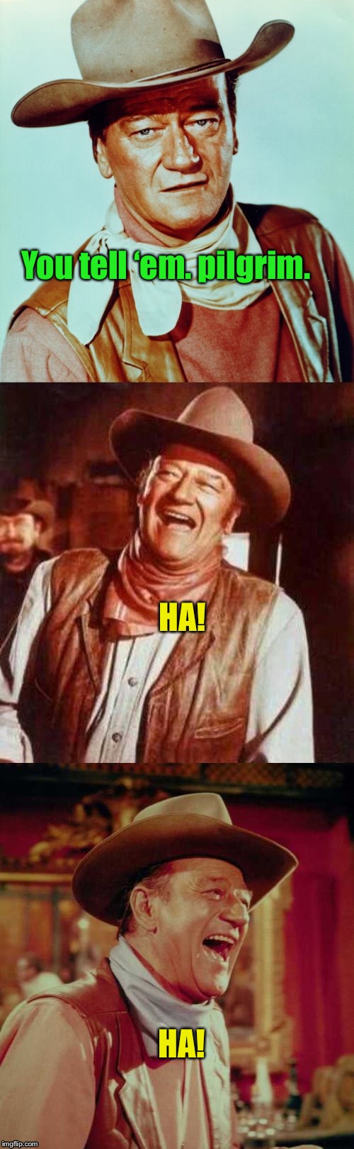 John Wayne Puns | You tell ‘em. pilgrim. HA! HA! | image tagged in john wayne puns | made w/ Imgflip meme maker