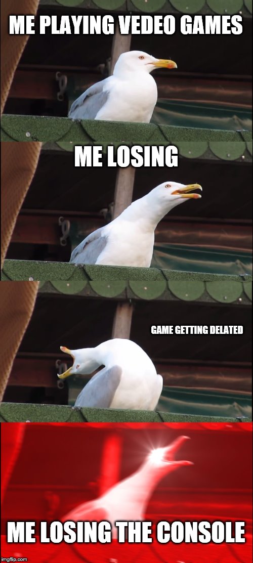 Inhaling Seagull | ME PLAYING VEDEO GAMES; ME LOSING; GAME GETTING DELATED; ME LOSING THE CONSOLE | image tagged in memes,inhaling seagull | made w/ Imgflip meme maker