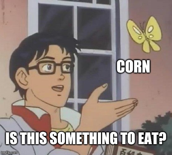 Is This A Pigeon Meme | CORN; IS THIS SOMETHING TO EAT? | image tagged in memes,is this a pigeon | made w/ Imgflip meme maker