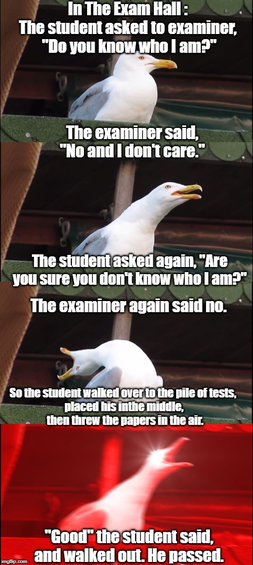 Comedian seagull | In The Exam Hall : 
The student asked to examiner, 
"Do you know who I am?"; The examiner said, "No and I don't care."; The student asked again, "Are you sure you don't know who I am?"; The examiner again said no. So the student walked over to the pile of tests, 
placed his inthe middle,
 then threw the papers in the air. "Good" the student said, and walked out. He passed. | image tagged in funny | made w/ Imgflip meme maker