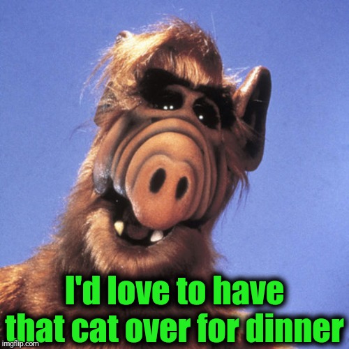 Alf  | I'd love to have that cat over for dinner | image tagged in alf | made w/ Imgflip meme maker