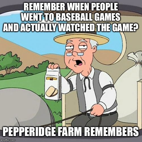 Pepperidge Farm Remembers Meme | REMEMBER WHEN PEOPLE WENT TO BASEBALL GAMES AND ACTUALLY WATCHED THE GAME? PEPPERIDGE FARM REMEMBERS | image tagged in memes,pepperidge farm remembers | made w/ Imgflip meme maker