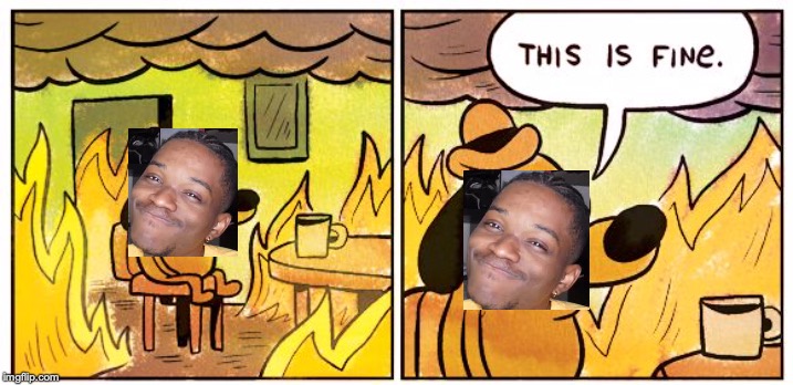 This Is Fine Meme | image tagged in this is fine dog | made w/ Imgflip meme maker