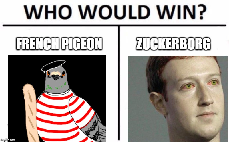 Who Would Win? | FRENCH PIGEON; ZUCKERBORG | image tagged in memes,who would win | made w/ Imgflip meme maker
