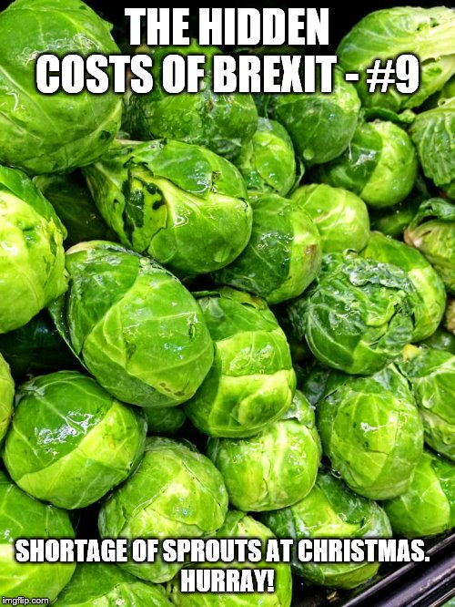 THE HIDDEN COSTS OF BREXIT - #9; SHORTAGE OF SPROUTS AT CHRISTMAS.  
HURRAY! | image tagged in brexit | made w/ Imgflip meme maker