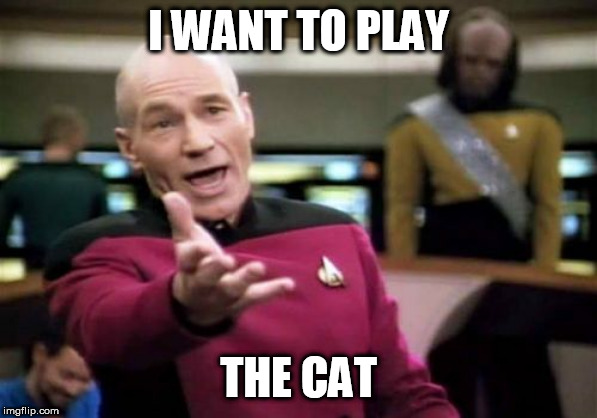 Picard Wtf Meme | I WANT TO PLAY THE CAT | image tagged in memes,picard wtf | made w/ Imgflip meme maker
