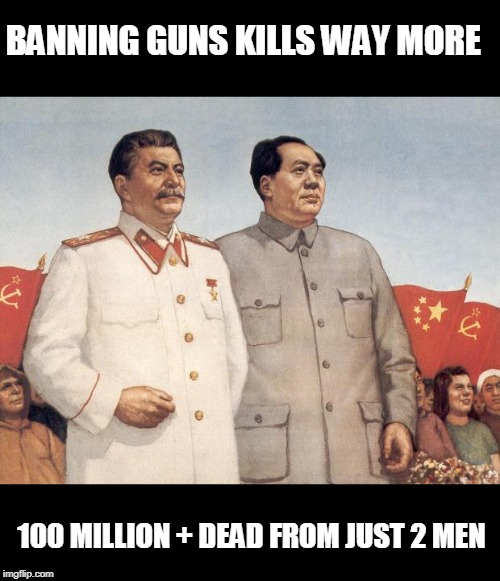 Stalin and Mao | BANNING GUNS KILLS WAY MORE 100 MILLION + DEAD FROM JUST 2 MEN | image tagged in stalin and mao | made w/ Imgflip meme maker