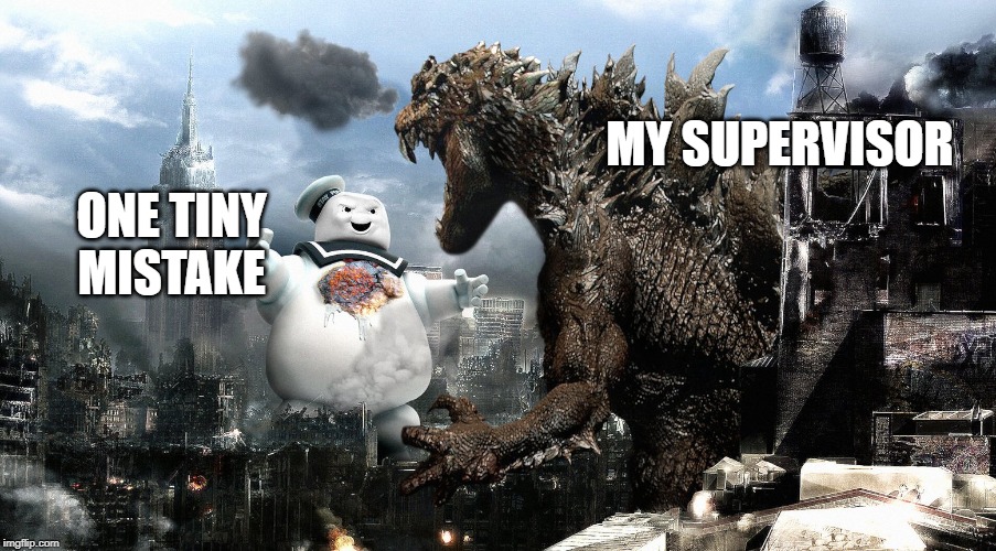 Godzilla Vs StayPuft Marshmallow Man | MY SUPERVISOR; ONE TINY MISTAKE | image tagged in godzilla vs staypuft marshmallow man | made w/ Imgflip meme maker