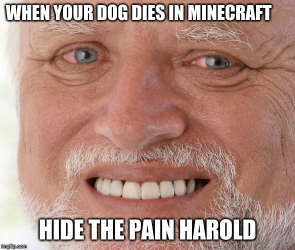 Hide the Pain Harold | WHEN YOUR DOG DIES IN MINECRAFT; HIDE THE PAIN HAROLD | image tagged in hide the pain harold | made w/ Imgflip meme maker