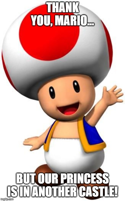 Toad | THANK YOU, MARIO... BUT OUR PRINCESS IS IN ANOTHER CASTLE! | image tagged in toad | made w/ Imgflip meme maker