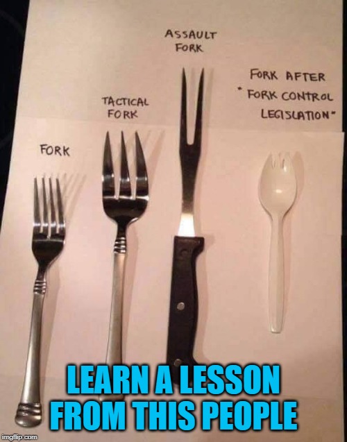 We'll all be left with Nerf guns! | LEARN A LESSON FROM THIS PEOPLE | image tagged in fork control,memes,gun control,funny,politics,not taking my gun | made w/ Imgflip meme maker
