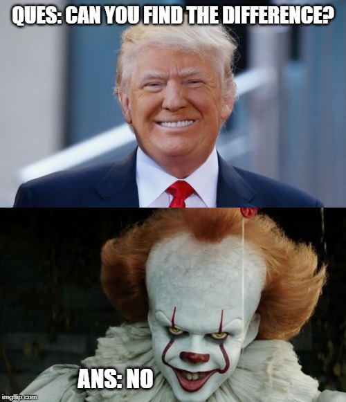 Toughest question | QUES: CAN YOU FIND THE DIFFERENCE? ANS: NO | image tagged in memes,donald trump,pennywise,it,spot the difference | made w/ Imgflip meme maker
