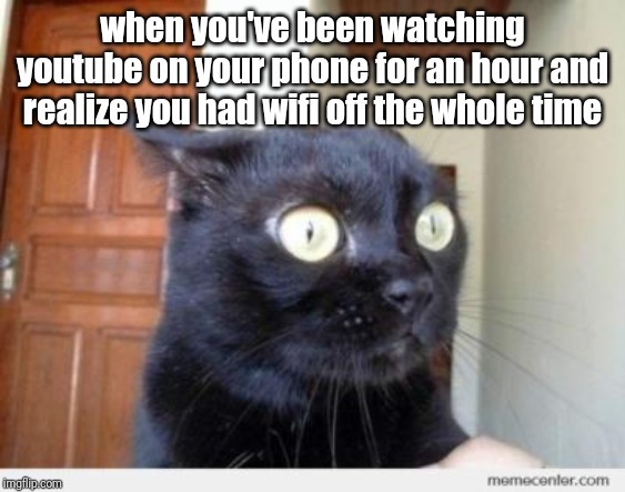 Scared Cat | when you've been watching youtube on your phone for an hour and realize you had wifi off the whole time | image tagged in scared cat,memes | made w/ Imgflip meme maker