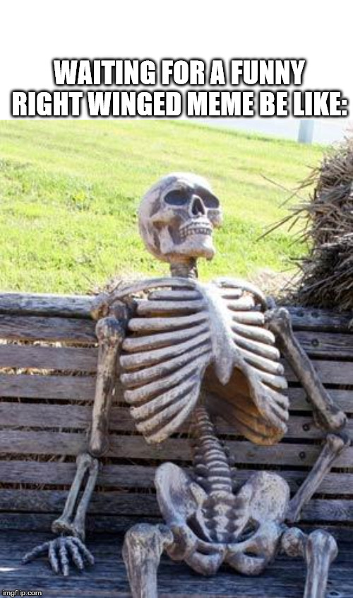 Waiting Skeleton Meme | WAITING FOR A FUNNY RIGHT WINGED MEME BE LIKE: | image tagged in memes,waiting skeleton | made w/ Imgflip meme maker
