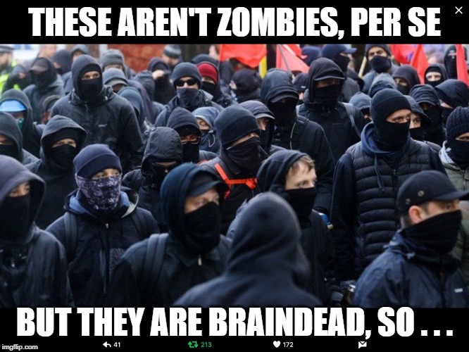 Antifa | THESE AREN'T ZOMBIES, PER SE BUT THEY ARE BRAINDEAD, SO . . . | image tagged in antifa | made w/ Imgflip meme maker