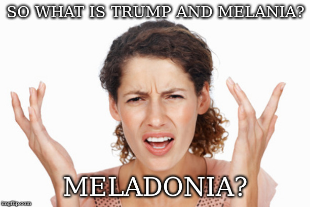Indignant | SO WHAT IS TRUMP AND MELANIA? MELADONIA? | image tagged in indignant,not cdn | made w/ Imgflip meme maker