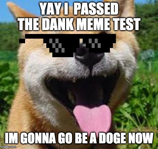 Happy Doge | YAY I  PASSED THE DANK MEME TEST; IM GONNA GO BE A DOGE NOW | image tagged in happy doge | made w/ Imgflip meme maker