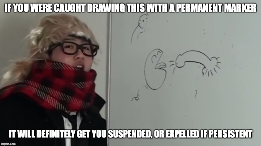 Obscene Drawing on Whiteboard With a Permanent Marker | IF YOU WERE CAUGHT DRAWING THIS WITH A PERMANENT MARKER; IT WILL DEFINITELY GET YOU SUSPENDED, OR EXPELLED IF PERSISTENT | image tagged in marker,school,mychonny,memes,youtube | made w/ Imgflip meme maker