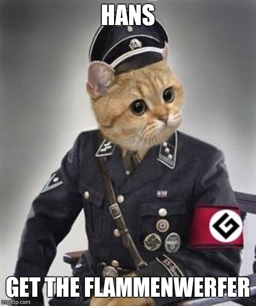 Grammar Nazi Cat | HANS GET THE FLAMMENWERFER | image tagged in grammar nazi cat | made w/ Imgflip meme maker
