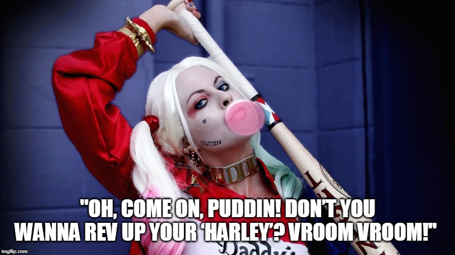 quinn puddin harley | "OH, COME ON, PUDDIN! DON’T YOU WANNA REV UP YOUR ‘HARLEY’? VROOM VROOM!" | image tagged in quinn puddin harley | made w/ Imgflip meme maker