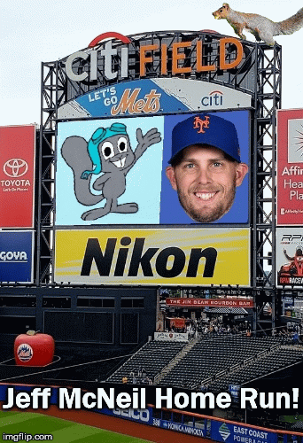 Jeff McNeil Home Run | Jeff McNeil Home Run! | image tagged in gifs,jeff mcneil,home run,mets,squirrel | made w/ Imgflip images-to-gif maker