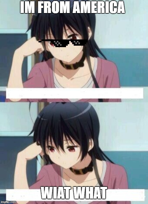 Anime Meme | IM FROM AMERICA; WIAT WHAT | image tagged in anime meme | made w/ Imgflip meme maker