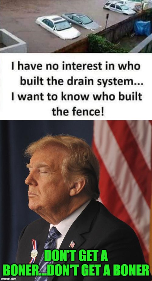 I don't care what anyone says...that's one well built fence!!! | DON'T GET A BONER...DON'T GET A BONER | image tagged in fences,memes,trump,the wall,funny,well built | made w/ Imgflip meme maker